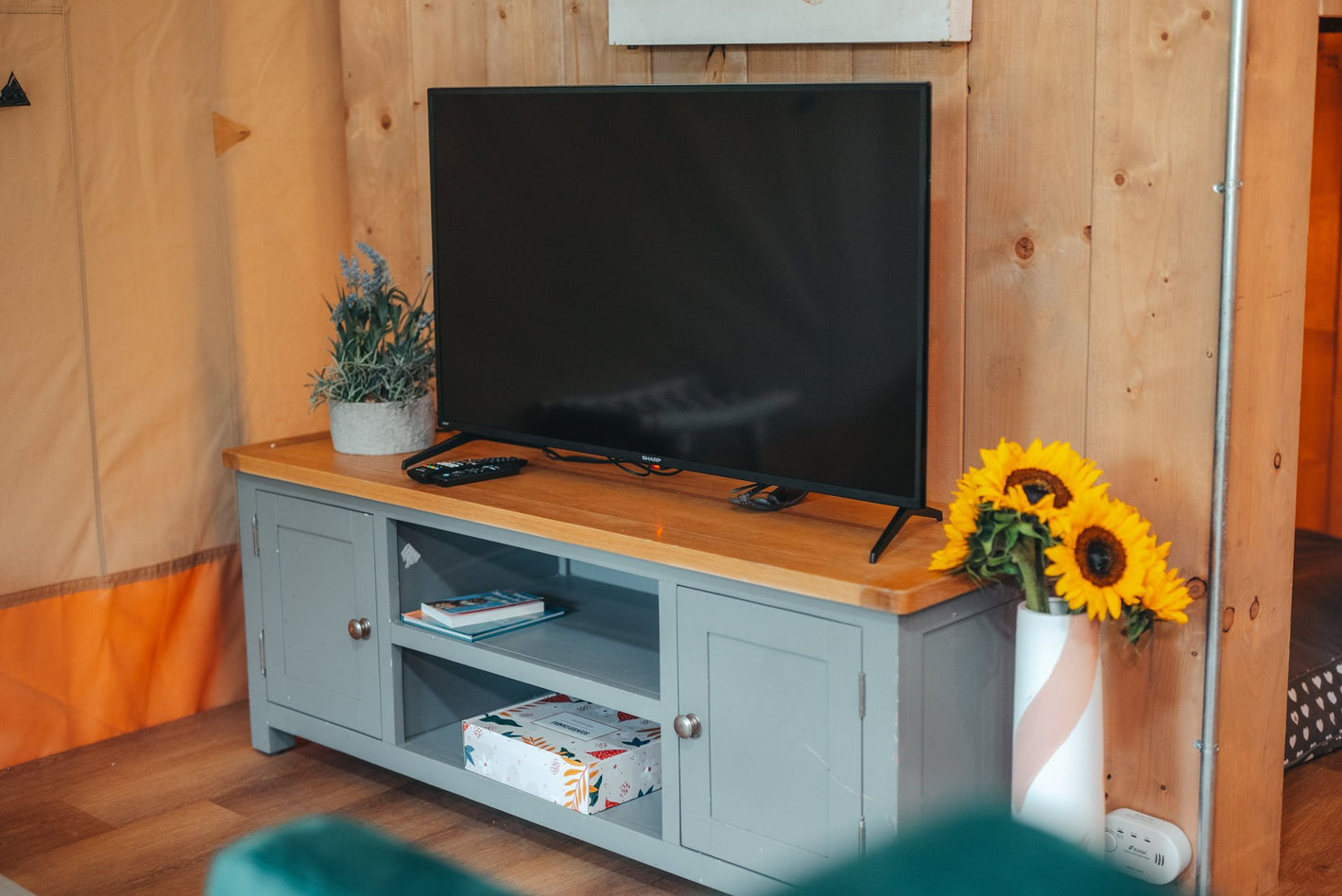 TV and internet available at pine forest view glamping