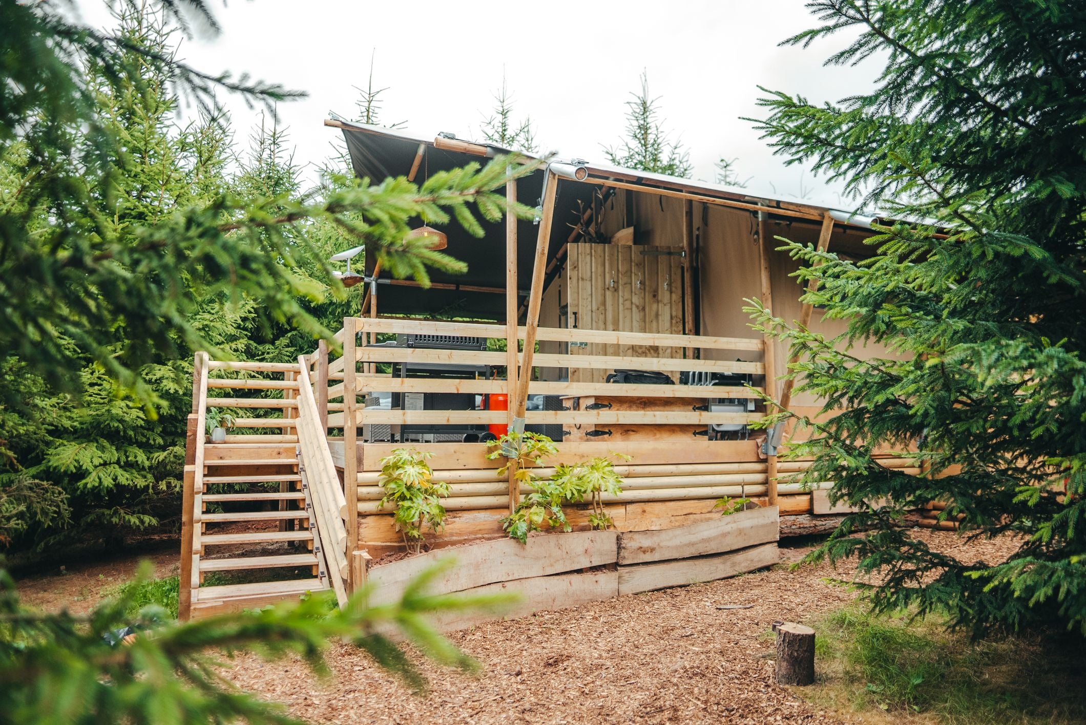 Pine Forest View luxury glamping monmouthshire